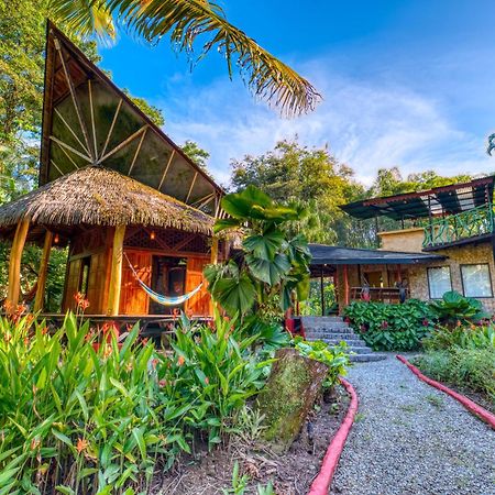 Tree House Beachfront Lodge Puerto Viejo de Talamanca Exterior photo