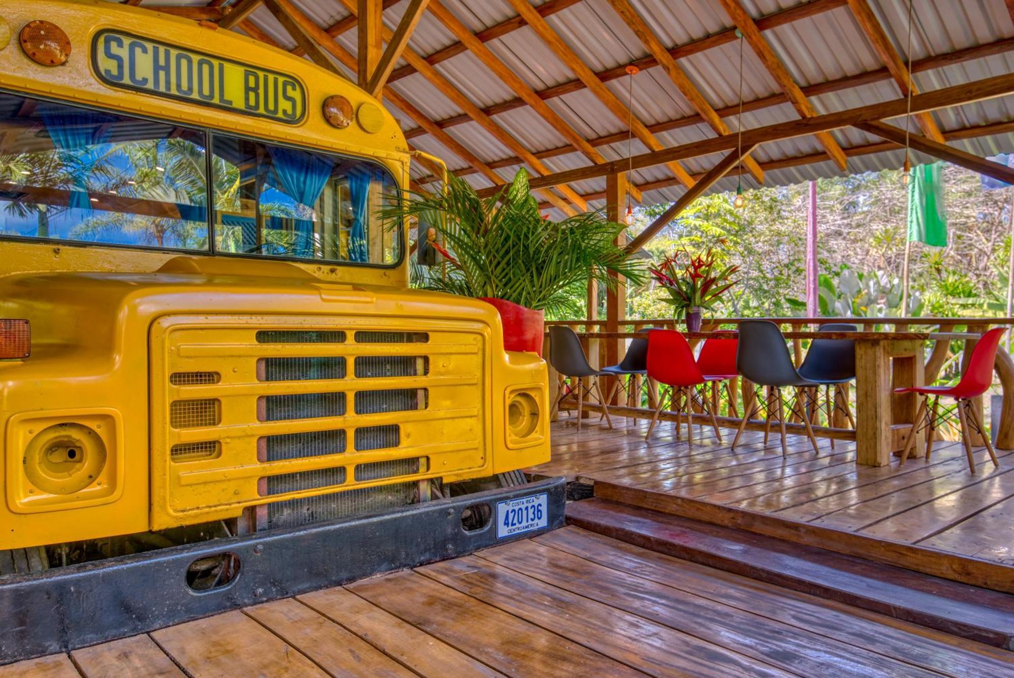 Tree House Beachfront Lodge Puerto Viejo de Talamanca Exterior photo