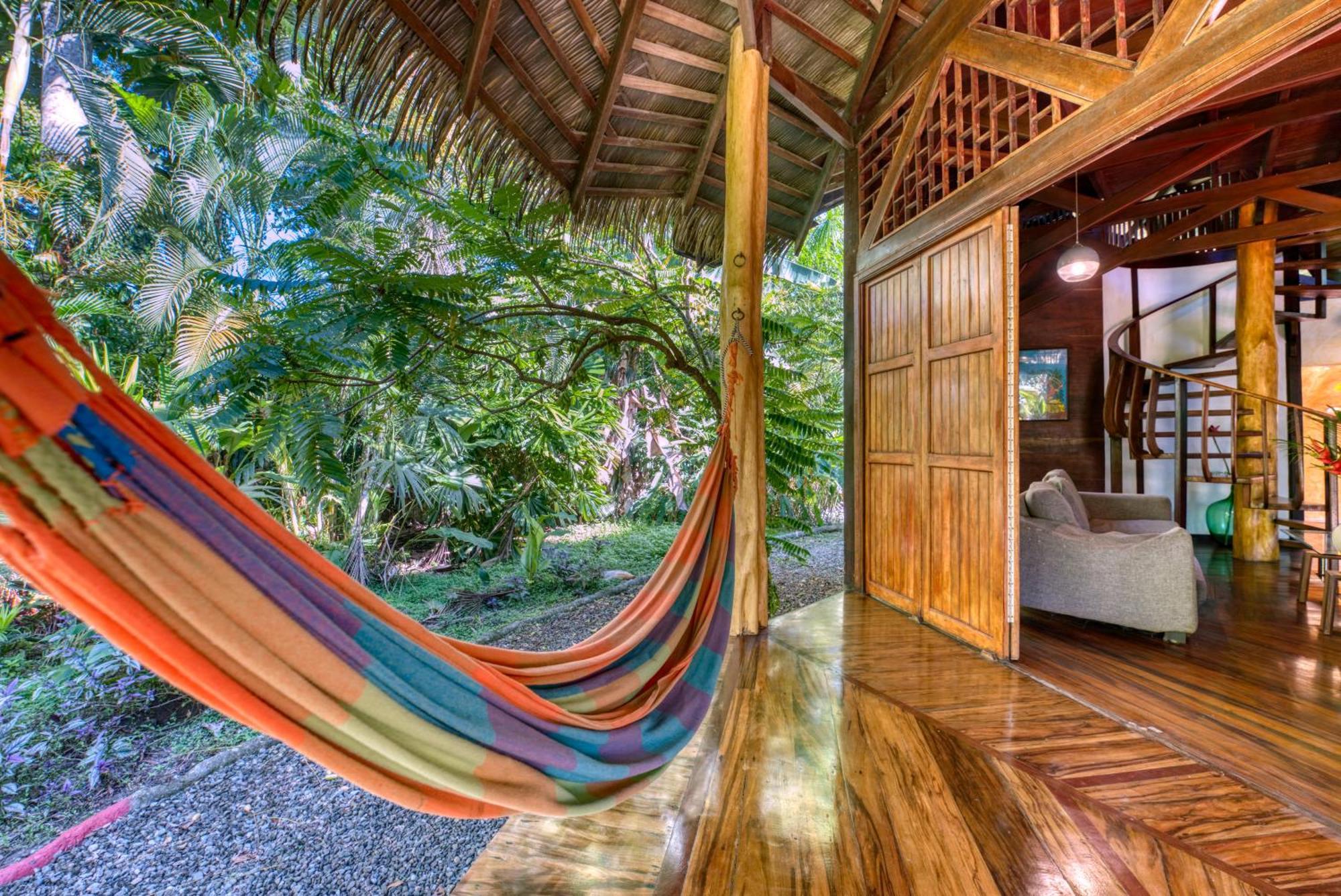 Tree House Beachfront Lodge Puerto Viejo de Talamanca Exterior photo