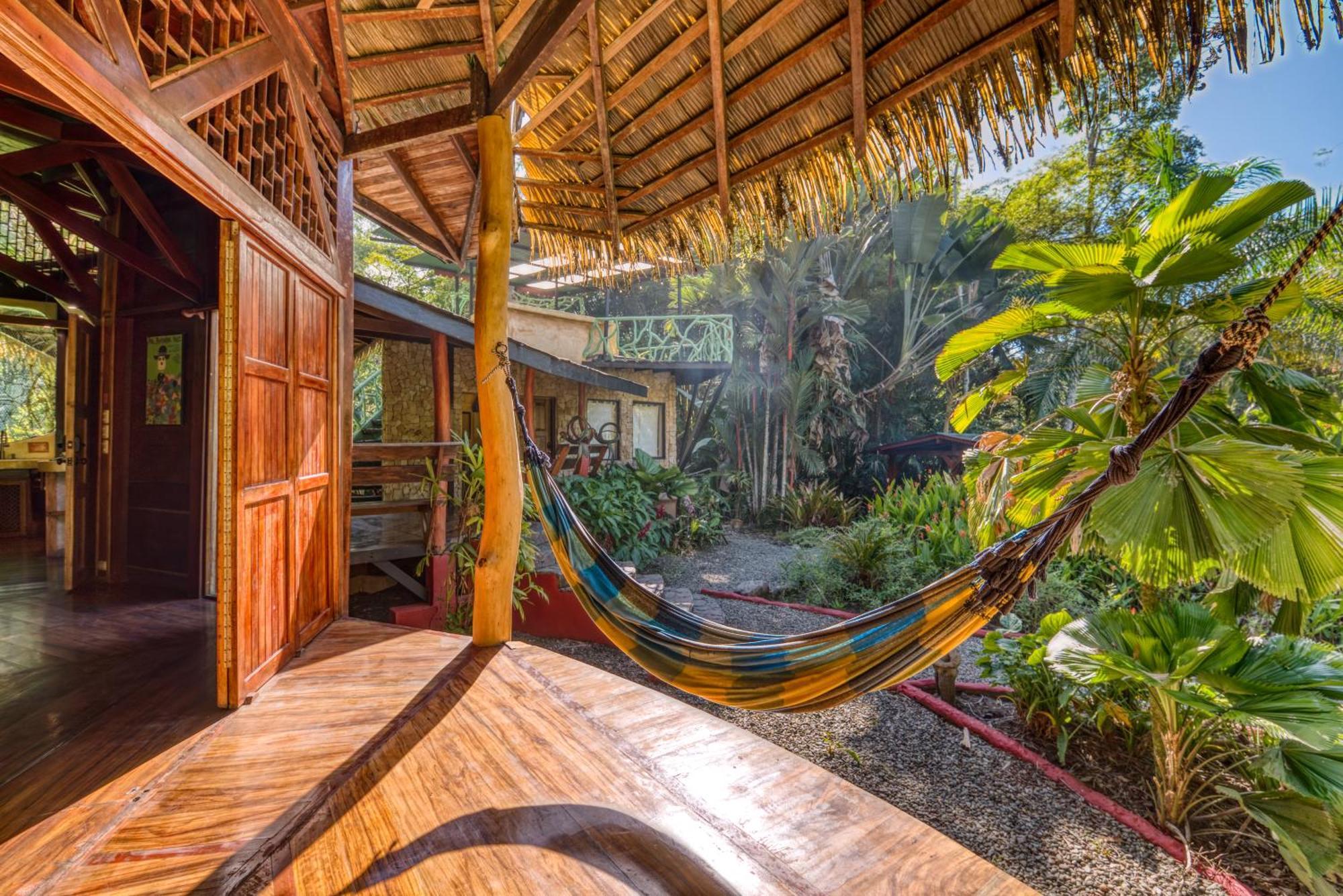 Tree House Beachfront Lodge Puerto Viejo de Talamanca Exterior photo