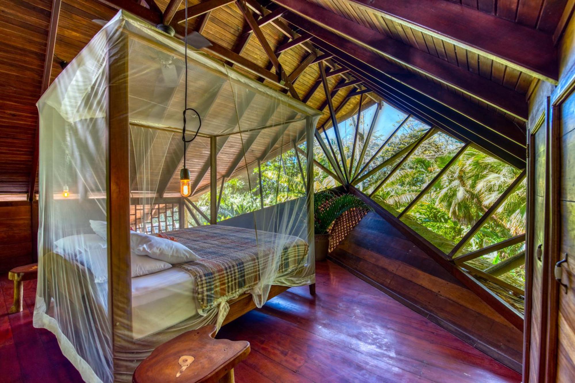 Tree House Beachfront Lodge Puerto Viejo de Talamanca Exterior photo