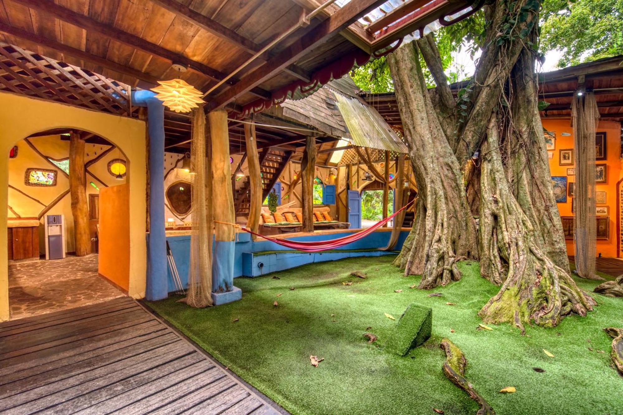 Tree House Beachfront Lodge Puerto Viejo de Talamanca Exterior photo