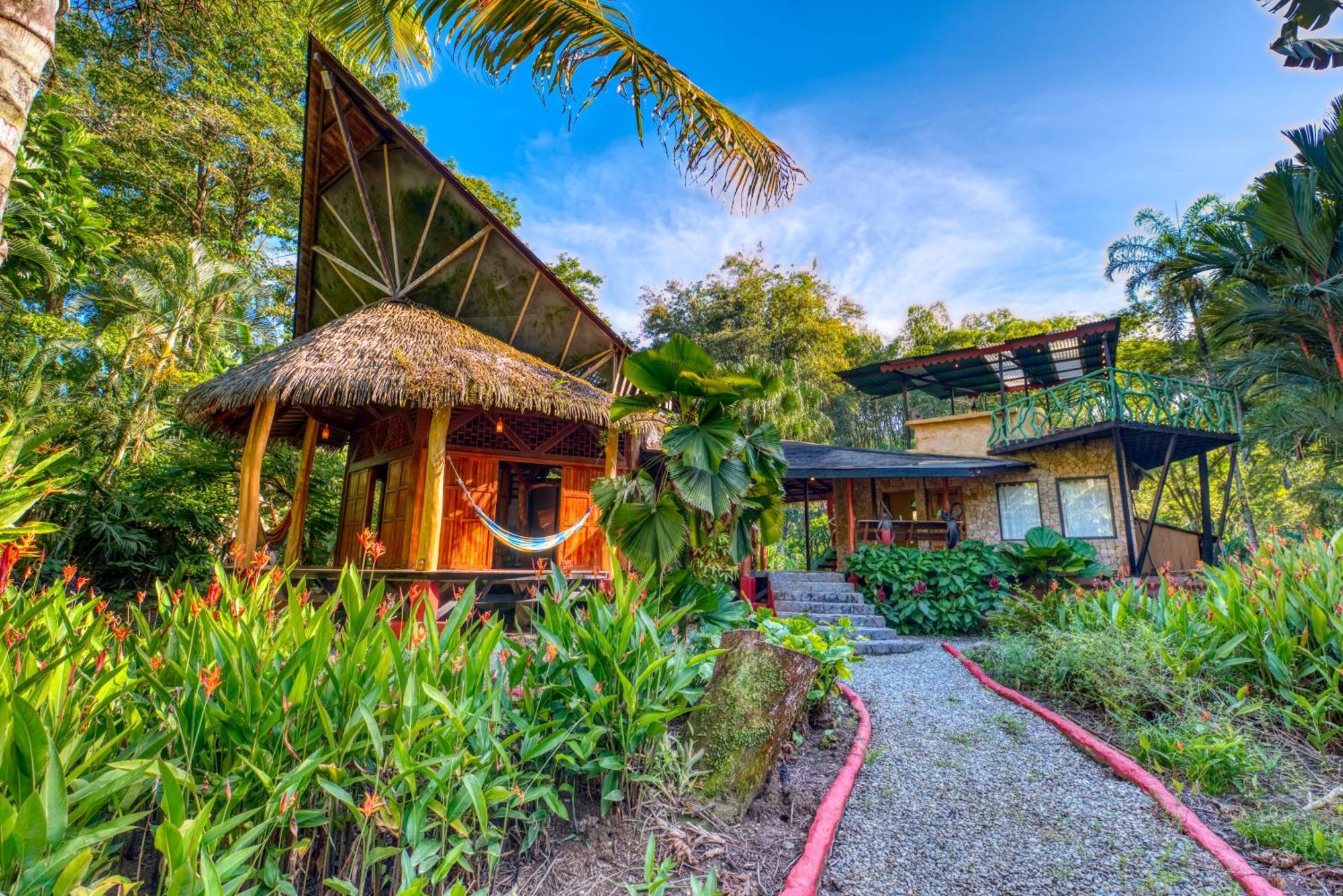 Tree House Beachfront Lodge Puerto Viejo de Talamanca Exterior photo
