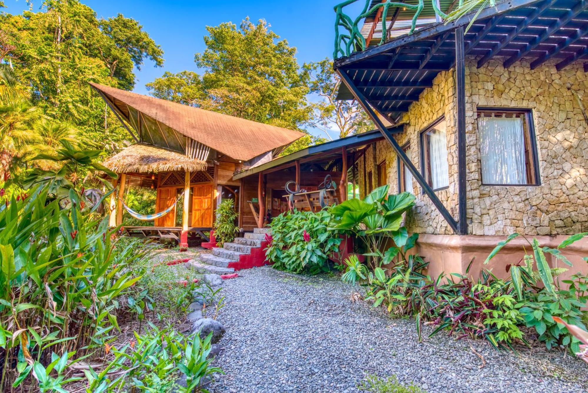 Tree House Beachfront Lodge Puerto Viejo de Talamanca Exterior photo