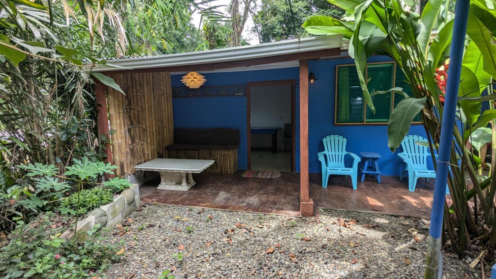 Tree House Beachfront Lodge Puerto Viejo de Talamanca Exterior photo