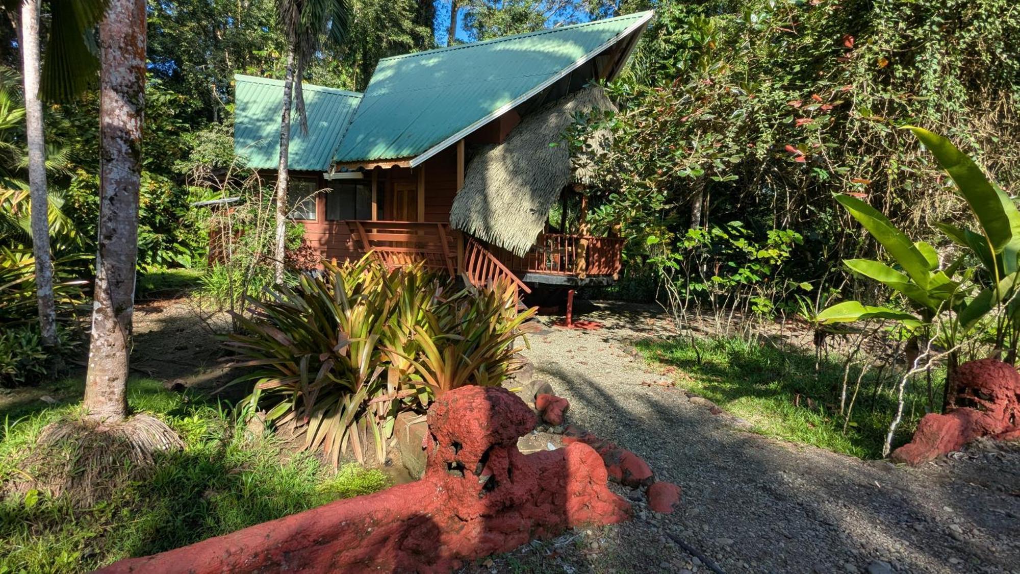 Tree House Beachfront Lodge Puerto Viejo de Talamanca Exterior photo