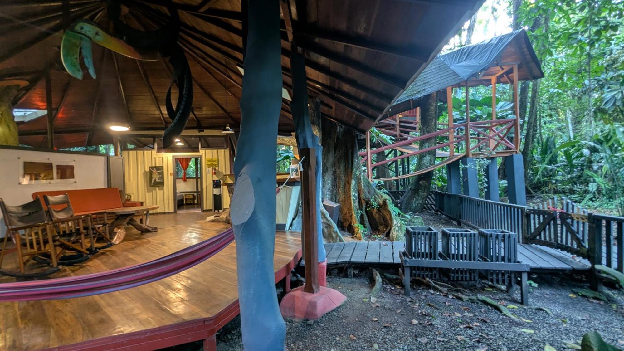 Tree House Beachfront Lodge Puerto Viejo de Talamanca Exterior photo