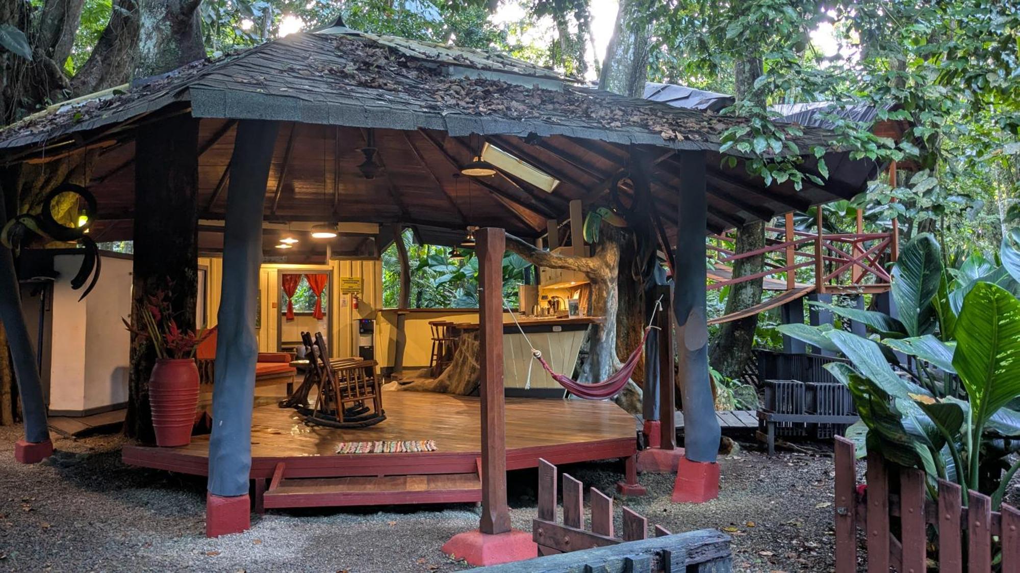 Tree House Beachfront Lodge Puerto Viejo de Talamanca Exterior photo