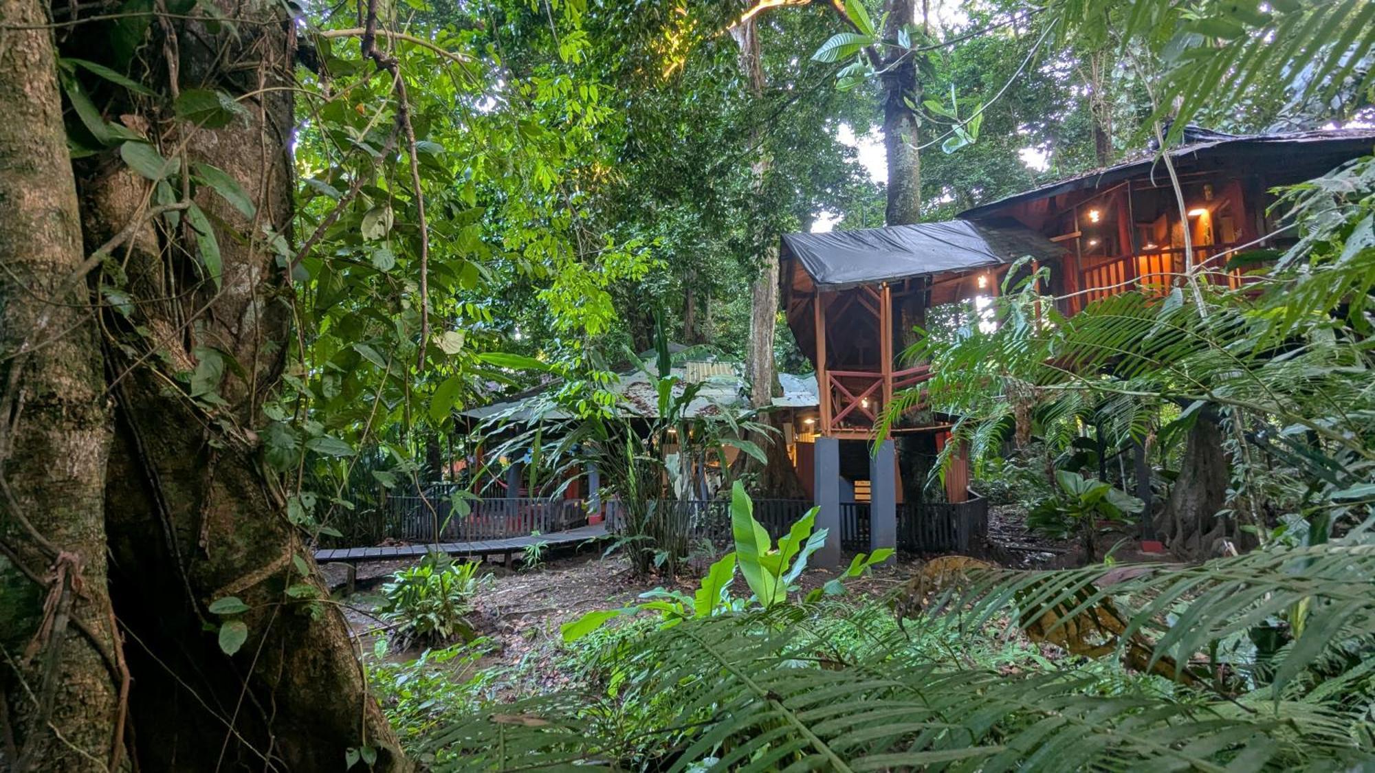 Tree House Beachfront Lodge Puerto Viejo de Talamanca Exterior photo