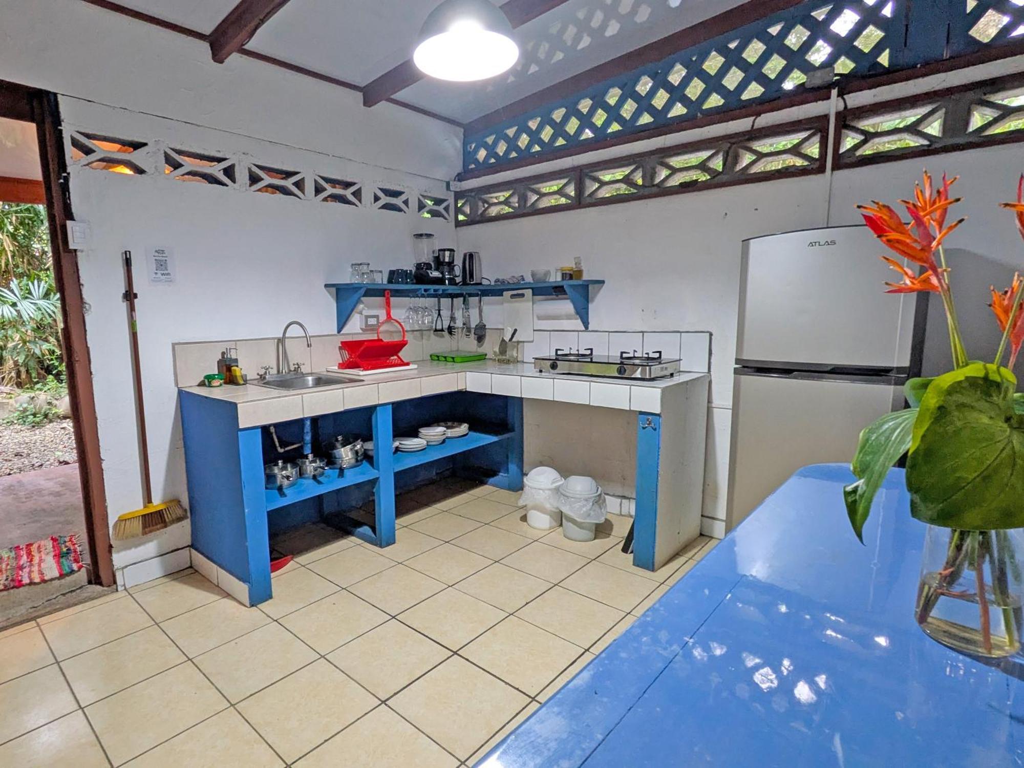 Tree House Beachfront Lodge Puerto Viejo de Talamanca Exterior photo